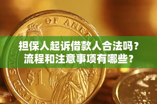 济南担保人起诉借款人合法吗？流程和注意事项有哪些？