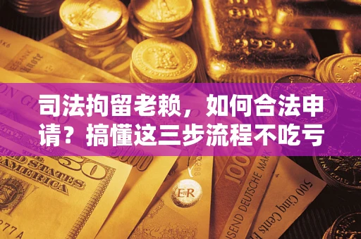 济南司法拘留老赖，如何合法申请？搞懂这三步流程不吃亏！