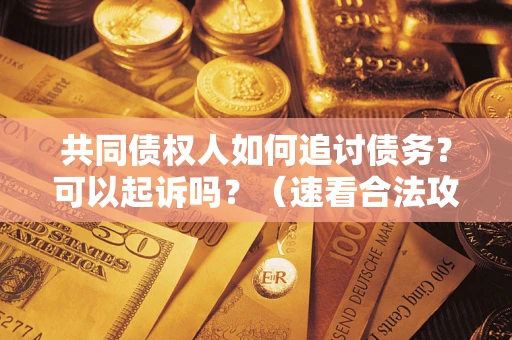 济南共同债权人如何追讨债务？可以起诉吗？（速看合法攻略）