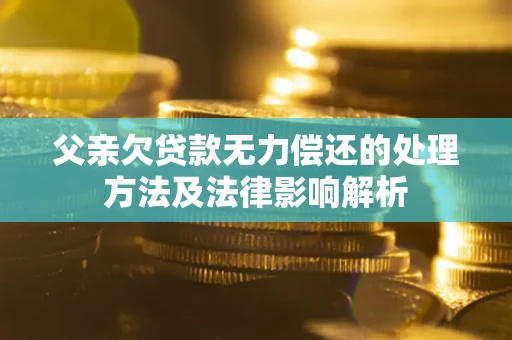 济南父亲欠贷款无力偿还的处理方法及法律影响解析