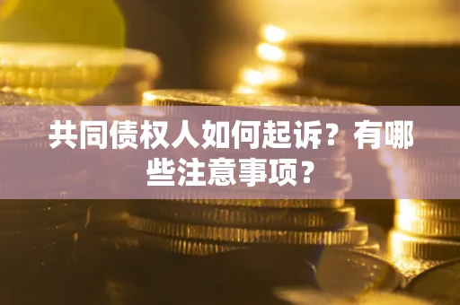 济南共同债权人如何起诉？有哪些注意事项？
